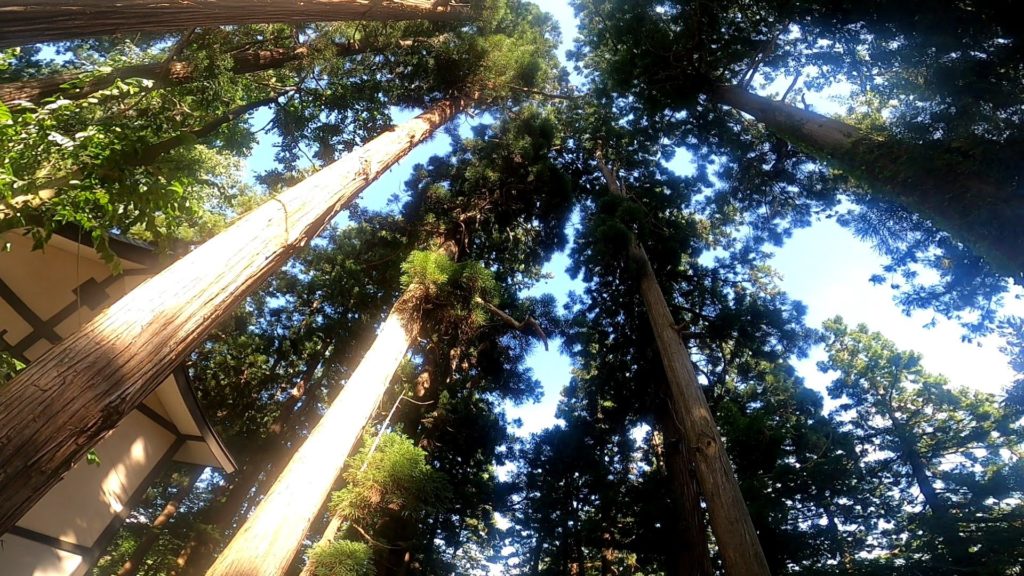 【南陽市熊野大社】パワースポット多数!風鈴飾り期間9月末まで yamagata-kumanotaisha-approach-road.jpg