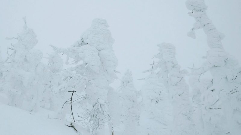 【年の瀬から大雪予報 冬休みで賑わう】満車の山形蔵王温泉スキー場 Yamagata-Zao-Onsen-Ski-Resort-is-crowded-with-winter-vacationers.jpg