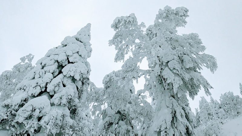 【年の瀬から大雪予報 冬休みで賑わう】満車の山形蔵王温泉スキー場 Yamagata-Zao-Onsen-Ski-Resort-is-crowded-with-winter-vacationers.jpg
