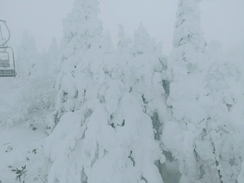 【シーズンイン12月全面滑走可 大雪と樹氷】山形蔵王温泉スキー場　Snowboarding-Season-Starts-in-December-at-Yamagata-Zao-Onsen-Ski-Resort.jpg
