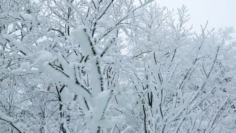 【横倉の壁完成 クリスマス寒波の大雪】12月山形蔵王温泉スキー場 Heavy-snowfall-in-December-completes-the-Yokokuranokabe-at-Yamagata-Zao-Onsen-Ski-Resort.jpg