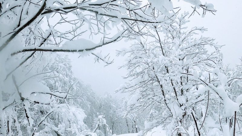 【真冬突入の1月樹氷観光 地蔵山頂駅展望台】山形蔵王温泉スキー場 Enjoy-Icemonster-Tourism-at-Yamagata-Zao-Onsen-Ski-Resort-in-Winter-January.jpg