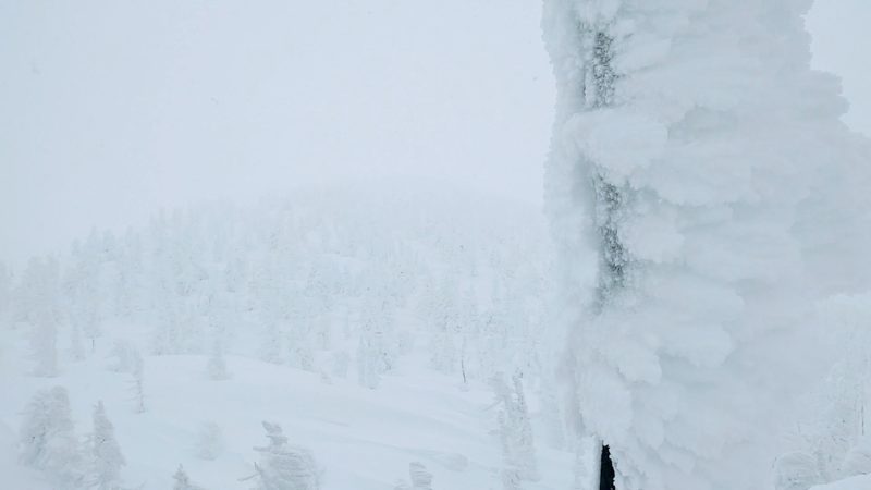 【真冬突入の1月樹氷観光 地蔵山頂駅展望台】山形蔵王温泉スキー場 Enjoy-Icemonster-Tourism-at-Yamagata-Zao-Onsen-Ski-Resort-in-Winter-January.jpg