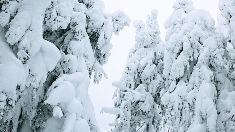 【真冬突入の1月樹氷観光 地蔵山頂駅展望台】山形蔵王温泉スキー場 Enjoy-Icemonster-Tourism-at-Yamagata-Zao-Onsen-Ski-Resort-in-Winter-January.jpg