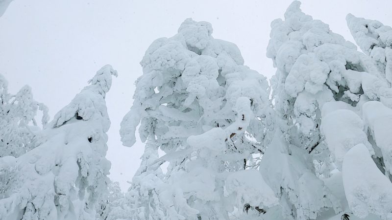 【真冬突入の1月樹氷観光 地蔵山頂駅展望台】山形蔵王温泉スキー場 Enjoy-Icemonster-Tourism-at-Yamagata-Zao-Onsen-Ski-Resort-in-Winter-January.jpg