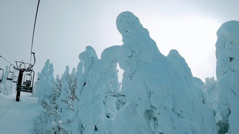 【見頃の樹氷サイズアップ 大雪明け観光】1月山形蔵王温泉スキー場 Yamagata-Zao-Onsen-Ski-Resort-in-January-is-good-for-sightseeing-because-Snowmonster-has-become-bigger.jpg