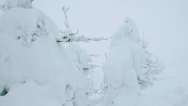 【今スキースノーボード楽しい 大雪の地蔵尊】山形蔵王温泉スキー場 Yamagata-Zao-Onsen-Ski-Resort-in-January-is-a-fun-place-to-ski-and-snowboard-with-heavy-snow.jpg