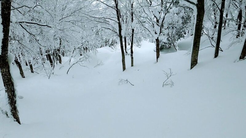 【ファミリー向け 子供専用雪の公園OPEN】山形蔵王温泉スキー場 Yamagata-Zao-Onsen-Ski-Resort-Opens-Snow-Park-for-Families-with-Children.jpg
