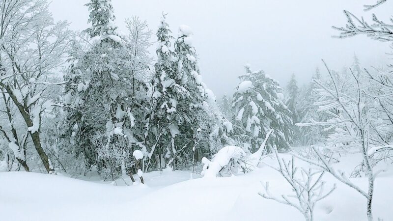 【ファミリー向け 子供専用雪の公園OPEN】山形蔵王温泉スキー場 Yamagata-Zao-Onsen-Ski-Resort-Opens-Snow-Park-for-Families-with-Children.jpg