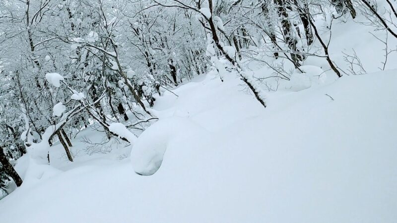 【ファミリー向け 子供専用雪の公園OPEN】山形蔵王温泉スキー場 Yamagata-Zao-Onsen-Ski-Resort-Opens-Snow-Park-for-Families-with-Children.jpg