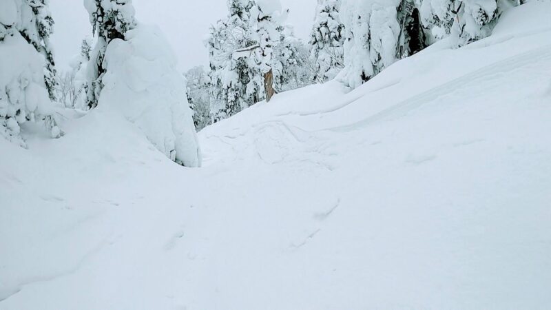 【ファミリー向け 子供専用雪の公園OPEN】山形蔵王温泉スキー場 Yamagata-Zao-Onsen-Ski-Resort-Opens-Snow-Park-for-Families-with-Children.jpg
