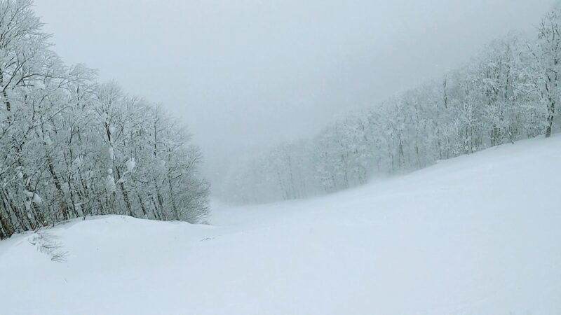 【上の台パウダー祭り 爆弾低気圧到来】運休の山形蔵王温泉スキー場 Enjoying-great-powder-snow-at-Uwanodai-area-of-Yamagata-Zao-Onsen-Ski-Resort.jpg