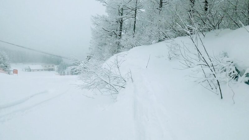 【大雪パウダー積雪+60cm 嵐の運休明け】山形蔵王温泉スキー場 Enjoying-60cm-of-heavy-powder-snow-at-Yamagata-Zao-Onsen-Ski-Resort-in-January.jpg