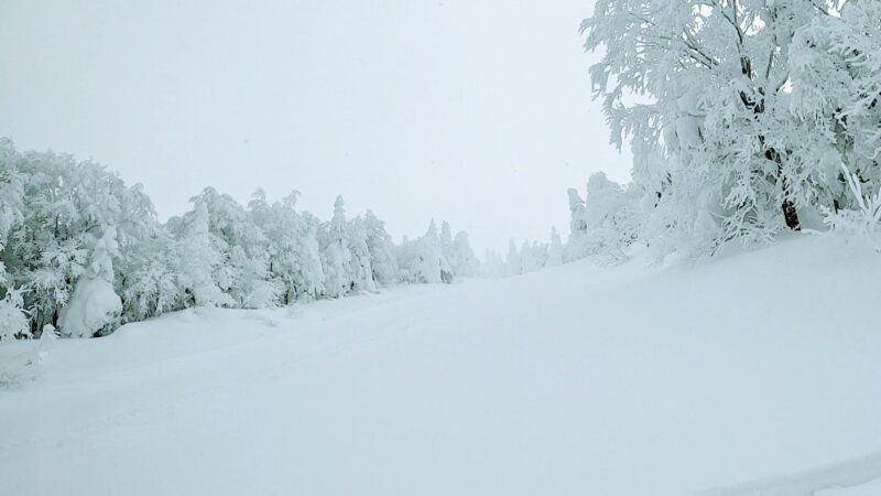 【大雪パウダー積雪+60cm 嵐の運休明け】山形蔵王温泉スキー場 Enjoying-60cm-of-heavy-powder-snow-at-Yamagata-Zao-Onsen-Ski-Resort-in-January.jpg