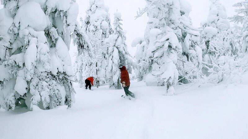 【大雪パウダー積雪+60cm 嵐の運休明け】山形蔵王温泉スキー場 Enjoying-60cm-of-heavy-powder-snow-at-Yamagata-Zao-Onsen-Ski-Resort-in-January.jpg