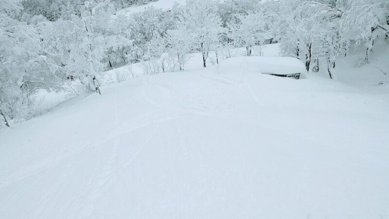 【大雪パウダー積雪+60cm 嵐の運休明け】山形蔵王温泉スキー場 Enjoying-60cm-of-heavy-powder-snow-at-Yamagata-Zao-Onsen-Ski-Resort-in-January.jpg