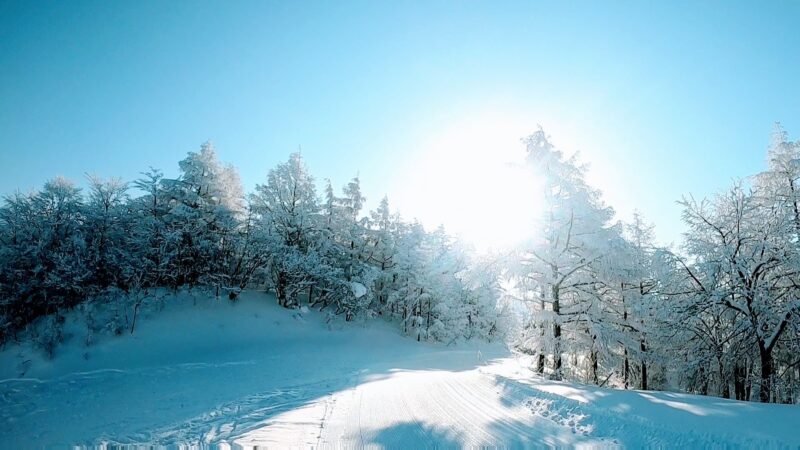 【絶景樹氷原と最高のスノーボード】大快晴1月山形蔵王温泉スキー場  Enjoying-great-snowboarding-with-great-views-of-Snowmonsters-at-Yamagata-Zao-Onsen-Ski-Resort-in-January.Preservation.jpg