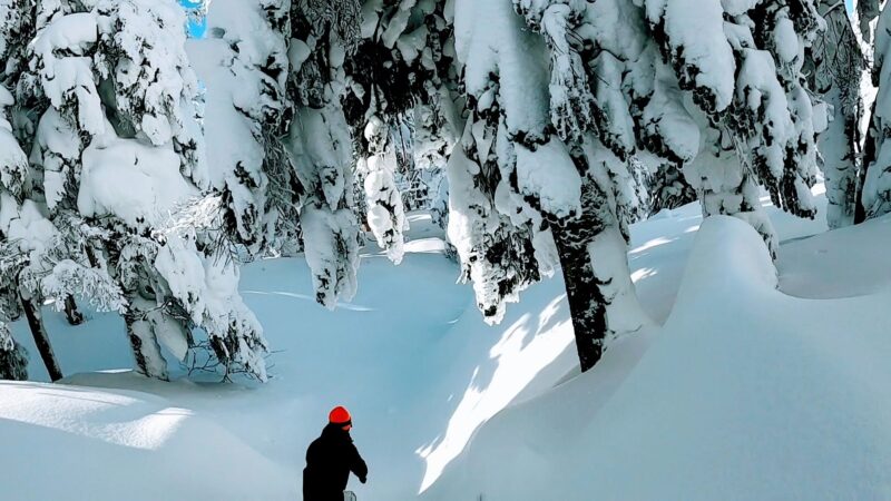 【絶景樹氷原と最高のスノーボード】大快晴1月山形蔵王温泉スキー場 Enjoying-great-snowboarding-with-great-views-of-Snowmonsters-at-Yamagata-Zao-Onsen-Ski-Resort-in-January.Preservation.jpg