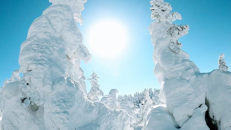 【絶景樹氷原と最高のスノーボード】大快晴1月山形蔵王温泉スキー場 Enjoying-great-snowboarding-with-great-views-of-Snowmonsters-at-Yamagata-Zao-Onsen-Ski-Resort-in-January.Preservation.jpg