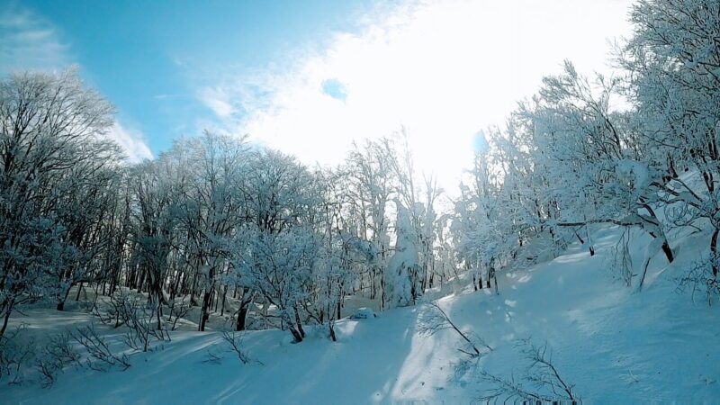 【ZAOツアーアテンド 楽しいスノーボード】山形蔵王温泉スキー場 Attend-Yamagata-Zao-Onsen-Ski-Resort-for-a-fun-snowboard-tour.jpg