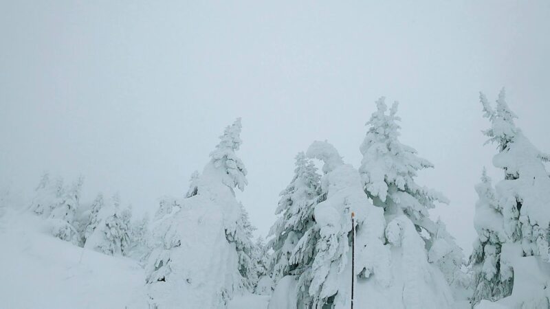【全エリア新雪 各エリアランチ情報編】立春の山形蔵王温泉スキー場 Powder-snow-in-all-areas-of-Yamagata-Zao-Onsen-Ski-Resort.jpg