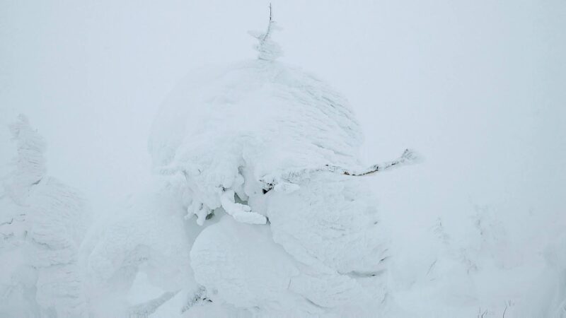 【全エリア新雪 各エリアランチ情報編】立春の山形蔵王温泉スキー場 Powder-snow-in-all-areas-of-Yamagata-Zao-Onsen-Ski-Resort.jpg