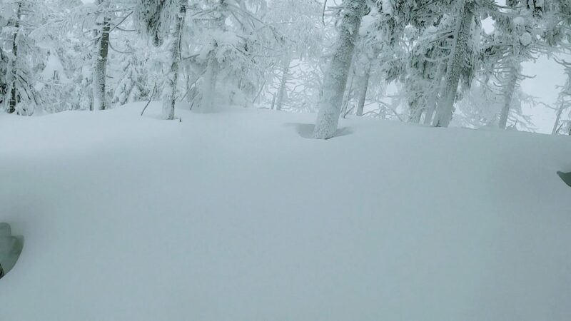 【全エリア新雪 各エリアランチ情報編】立春の山形蔵王温泉スキー場 Powder-snow-in-all-areas-of-Yamagata-Zao-Onsen-Ski-Resort.jpg