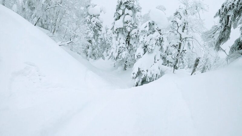 【全エリア新雪 各エリアランチ情報編】立春の山形蔵王温泉スキー場 Powder-snow-in-all-areas-of-Yamagata-Zao-Onsen-Ski-Resort.jpg