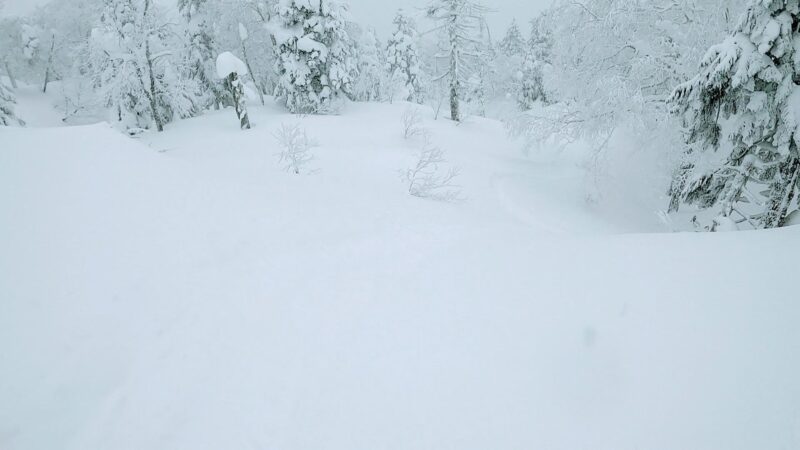 【全エリア新雪 各エリアランチ情報編】立春の山形蔵王温泉スキー場 Powder-snow-in-all-areas-of-Yamagata-Zao-Onsen-Ski-Resort.jpg