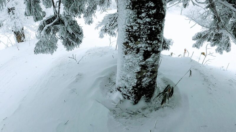 【全エリア新雪 各エリアランチ情報編】立春の山形蔵王温泉スキー場 Powder-snow-in-all-areas-of-Yamagata-Zao-Onsen-Ski-Resort.jpg