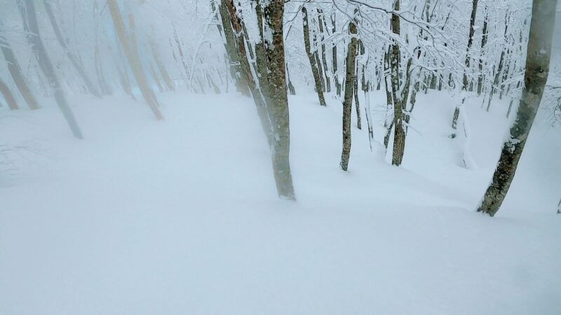 【全エリア新雪 各エリアランチ情報編】立春の山形蔵王温泉スキー場 Powder-snow-in-all-areas-of-Yamagata-Zao-Onsen-Ski-Resort.jpg