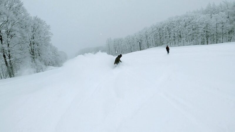 【全エリア新雪 各エリアランチ情報編】立春の山形蔵王温泉スキー場 Powder-snow-in-all-areas-of-Yamagata-Zao-Onsen-Ski-Resort.jpg