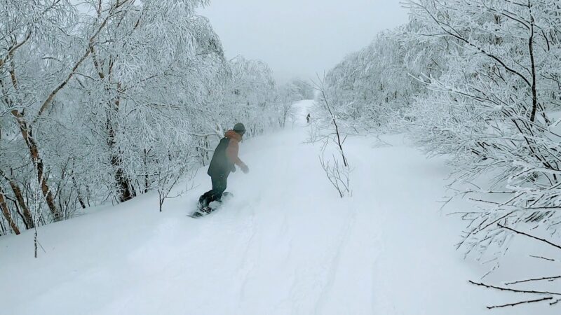 【全エリア新雪 各エリアランチ情報編】立春の山形蔵王温泉スキー場 Powder-snow-in-all-areas-of-Yamagata-Zao-Onsen-Ski-Resort.jpg