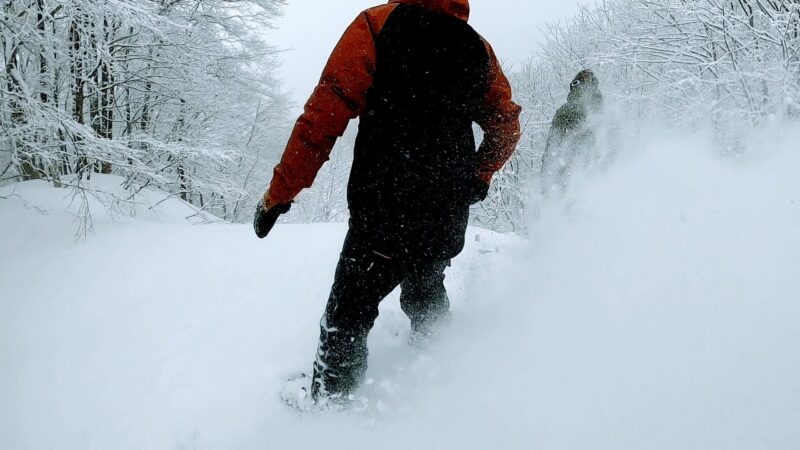 【全エリア新雪 各エリアランチ情報編】立春の山形蔵王温泉スキー場 Powder-snow-in-all-areas-of-Yamagata-Zao-Onsen-Ski-Resort.jpg