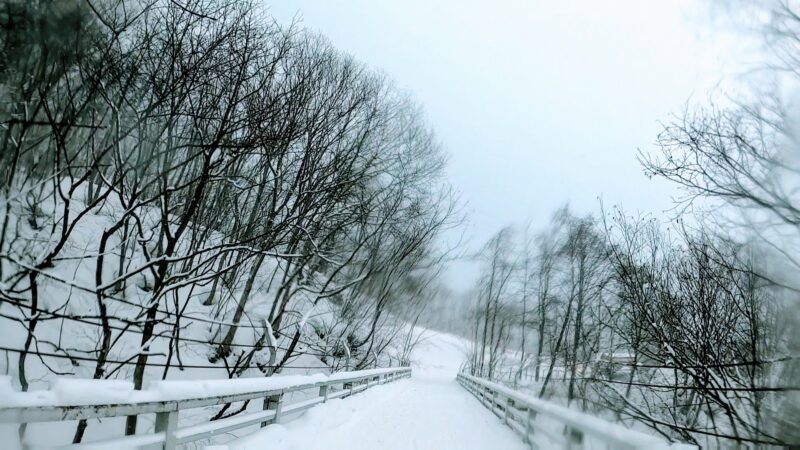 【全エリア新雪 各エリアランチ情報編】立春の山形蔵王温泉スキー場 Powder-snow-in-all-areas-of-Yamagata-Zao-Onsen-Ski-Resort.jpg
