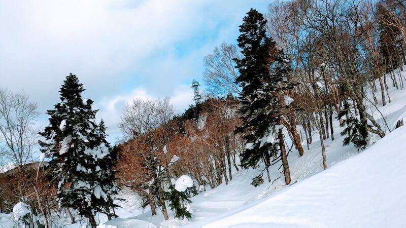 【中央高原トレッキング 五郎岳三郎岳コタン】山形蔵王温泉スキー場 　　　Trekking-to-the-Kotan-area-of-Yamagata-Zao-Onsen-Ski-Resort.jpg
