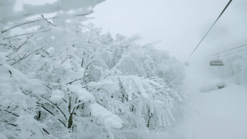 【パウダーボードチーム案内 ムラスポツアー】山形蔵王温泉スキー場   Enjoy-Yamagata-Zao-Onsen-Ski-Resort-by-Powder-Board.jpg