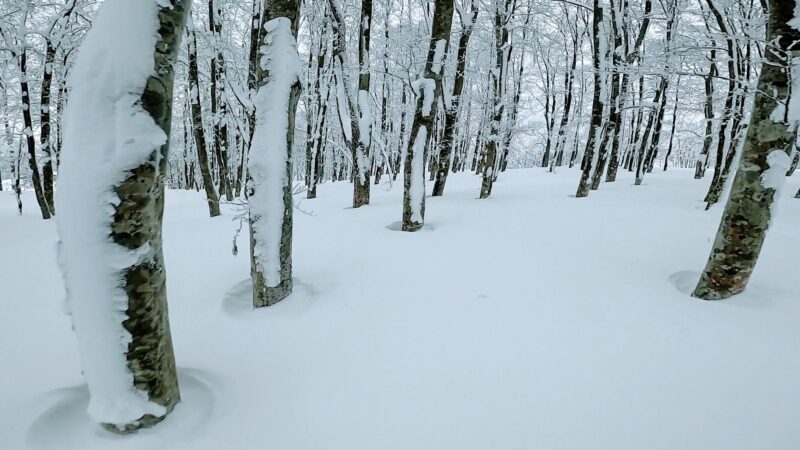 【ラストハイシーズン 暖気と雨予報2月新雪】山形蔵王温泉スキー場 Yamagata-Zao-Onsen-Ski-Resort-in-the-Last-Great-Winter-Season.jpg