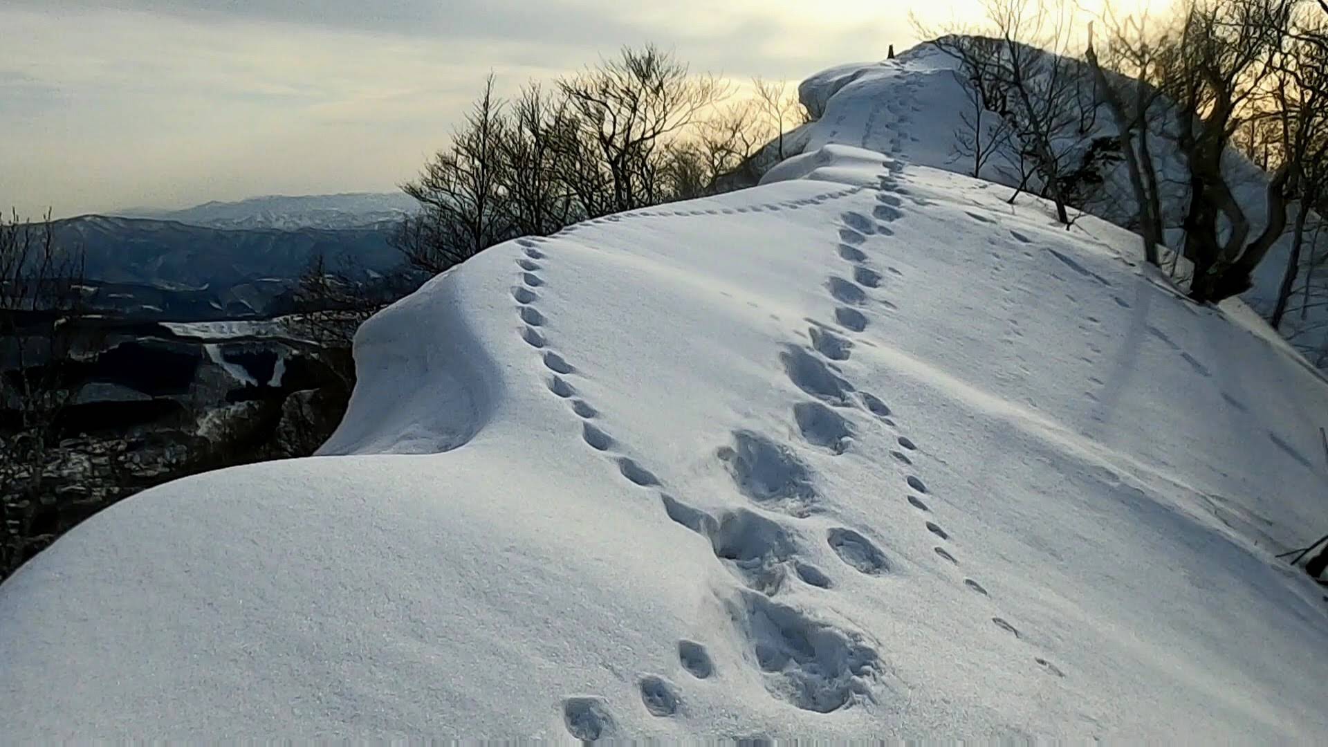 瀧山編 山形蔵王温泉スキー場