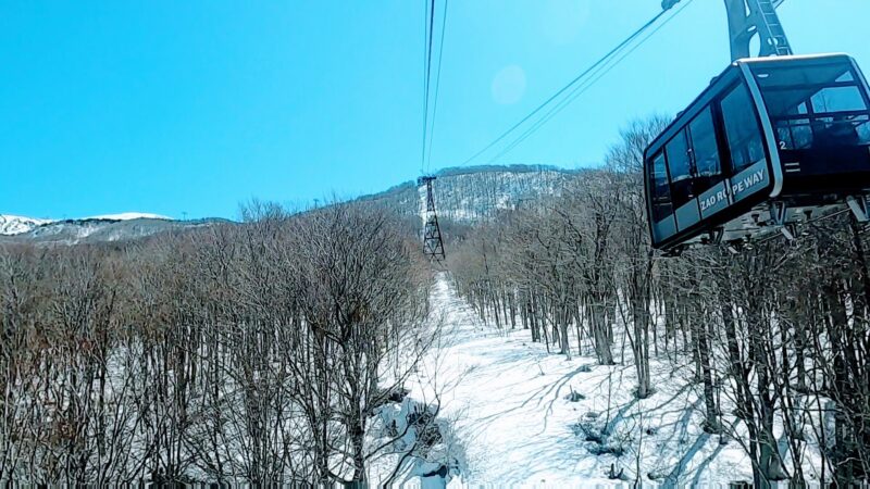 【3月下まで滑走可 立ち枯れの樹氷の木】春の山形蔵王温泉スキー場   Zao-Ropeway-Information-at-Yamagata-Zao-Onsen-Ski-Resort-in-March-Spring.jpg