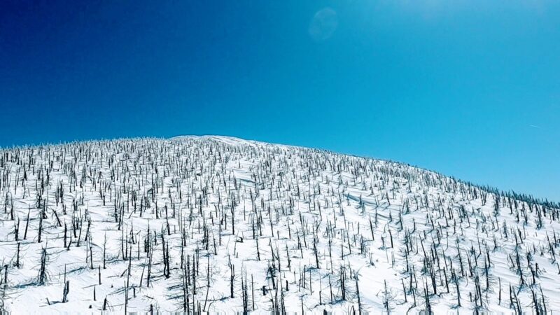 【3月下まで滑走可 立ち枯れの樹氷の木】春の山形蔵王温泉スキー場 Zao-Ropeway-Information-at-Yamagata-Zao-Onsen-Ski-Resort-in-March-Spring.jpg