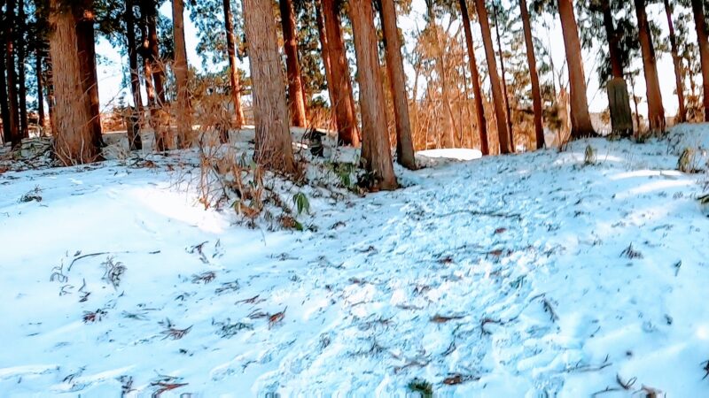 【凄すぎる樹氷原絶景 地蔵山三宝荒神山】2月山形蔵王温泉スキー場 Yamagata-Zao-Onsen-Ski-Resort-with-clear-skies-and-beautiful-scenery-in-February.jpg