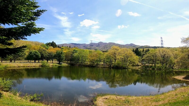 5月 山形野草園 瀧山 yamagatayosouen-ryuzan.jpg