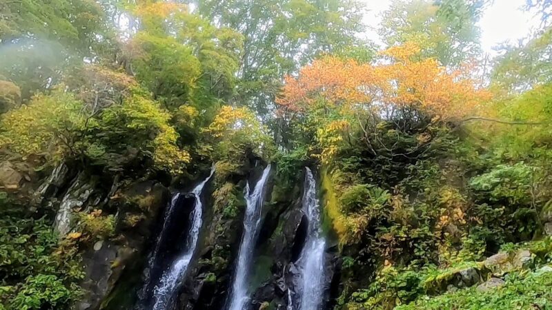 【蔵王古道不動沢トレッキング 9月紅葉情報】山形蔵王温泉スキー場   Zao-Kodou-Fudousawa-trekking-in-Yamagata-Zao-Onsen-Ski-Resort-and-information-on-autumn-leaves-in-September.jpg 