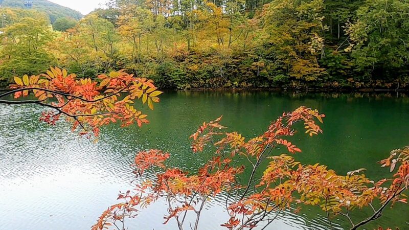 【紅葉9月スタート 中央高原アクティビティ】山形蔵王温泉スキー場   Chuo-area-activities-at-Yamagata-Zao-Onsen-Ski-Resort-and-information-about-the-start-of-autumn-leaves-in-September.jpg