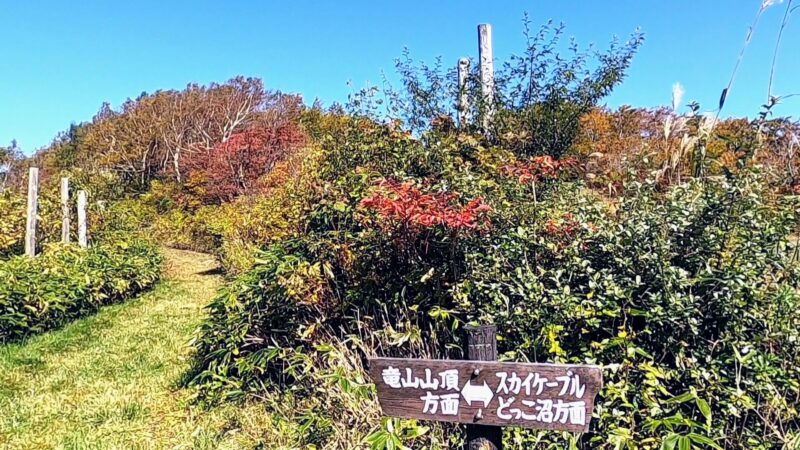 【紅葉見頃の10月空中散歩 秋の瀧山登山道】山形蔵王温泉スキー場 Enjoy-Mt.ryuzan-trekking-and-spectacular-views-from-the-ropeway-at-Yamagata-Zao-Onsen-Ski-Resort-in-October-in-autumn.jpg