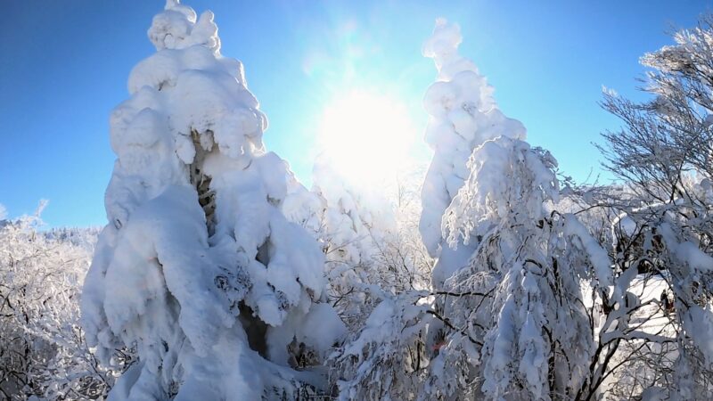 【これがZAOだ!!保存版】絶景大快晴 1月山形蔵王温泉スキー場 yamagatazao-skiing-with-awesome-views-jan.jpg