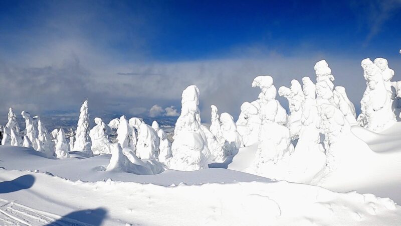 【見頃の樹氷どんな感じ？これがZAOのモンスターだ!!】山形蔵王 yamagatazao-snowmonster-completed-jan.jpg