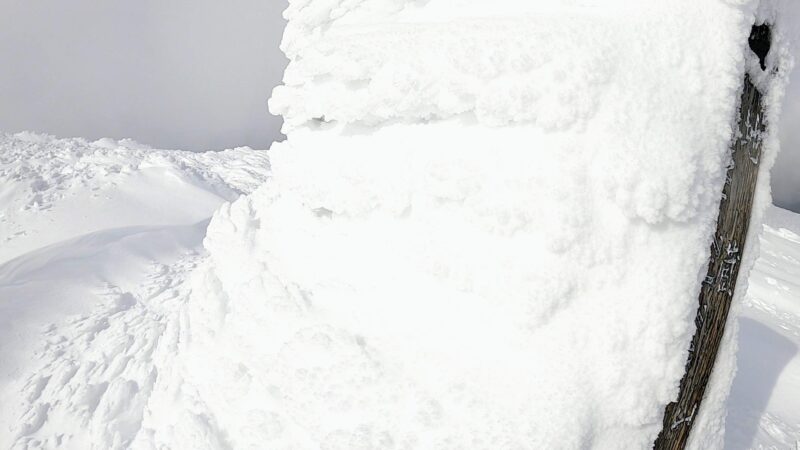 【見頃の樹氷どんな感じ？これがZAOのモンスターだ!!】山形蔵王 yamagatazao-snowmonster-completed-jan.jpg
