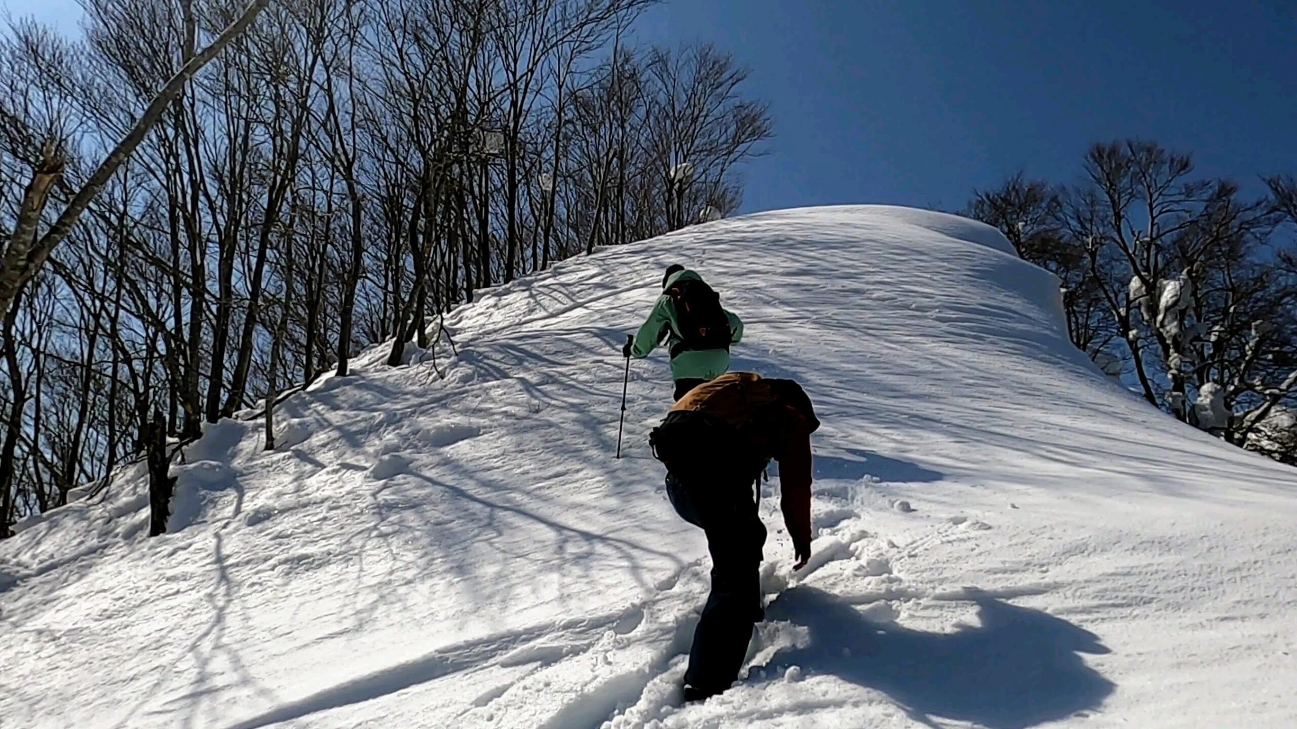 【ついにZAO雪緩む！3月雪山登山】瀧山から蔵王温泉スキー場全景 yamagatazao-ryuzan-trekking-march.jpg